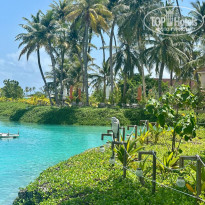 фото из отзыва ID 2710819