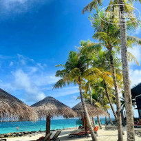 фото из отзыва ID 2710819