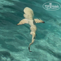 фото из отзыва ID 2710819