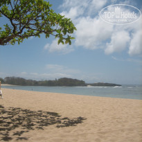 фото из отзыва ID 2710847