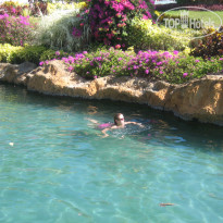 фото из отзыва ID 2710847