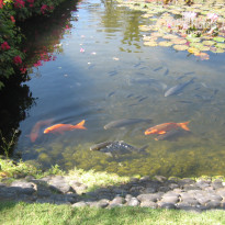 фото из отзыва ID 2710847