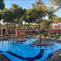 фото из отзыва ID 2710524