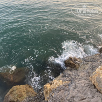 фото из отзыва ID 2710878