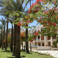 фото из отзыва ID 2710810