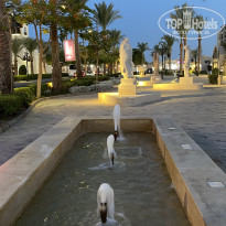 фото из отзыва ID 2710810