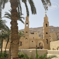 фото из отзыва ID 2710810