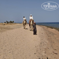 фото из отзыва ID 2710925