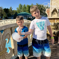 фото из отзыва ID 2710953