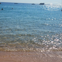 фото из отзыва ID 2710964