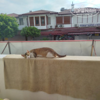 фото из отзыва ID 2710989