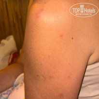 фото из отзыва ID 2711012