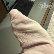 фото из отзыва ID 2711012