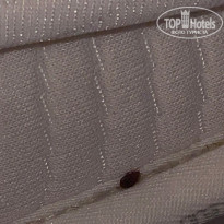 фото из отзыва ID 2711012