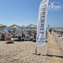 фото из отзыва ID 2711018