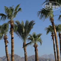 фото из отзыва ID 2711027