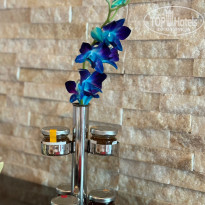 фото из отзыва ID 2711047