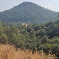 фото из отзыва ID 2711059