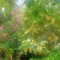 фото из отзыва ID 2711059