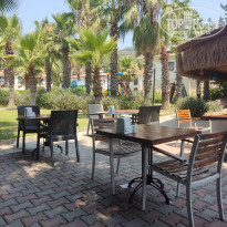 фото из отзыва ID 2711059