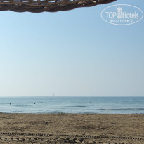 фото из отзыва ID 2711059