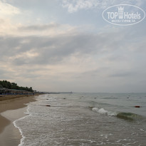 фото из отзыва ID 2711064