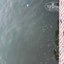 фото из отзыва ID 2711158