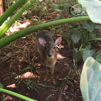 фото из отзыва ID 2711178