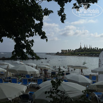 фото из отзыва ID 2711187