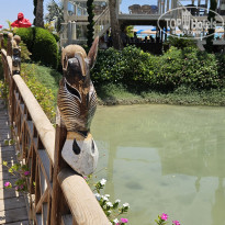 фото из отзыва ID 2711204