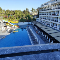 фото из отзыва ID 2711235