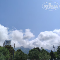 фото из отзыва ID 2711242