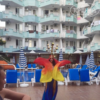 фото из отзыва ID 2711246