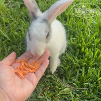 фото из отзыва ID 2711292