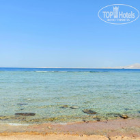 фото из отзыва ID 2711304