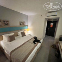 фото из отзыва ID 2711298