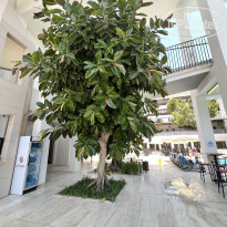 фото из отзыва ID 2711298