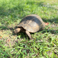 фото из отзыва ID 2711173