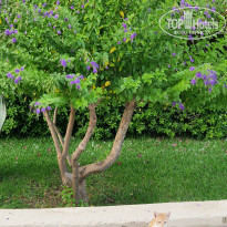 фото из отзыва ID 2711306