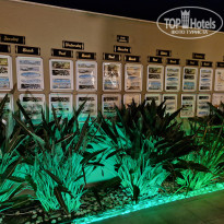 фото из отзыва ID 2711306