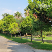 фото из отзыва ID 2711306