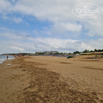 фото из отзыва ID 2711306