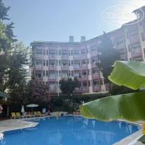 фото из отзыва ID 2711326