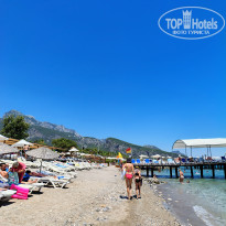 фото из отзыва ID 2711363