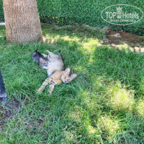 фото из отзыва ID 2711363