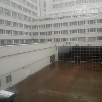 фото из отзыва ID 2711375