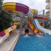 фото из отзыва ID 2711425