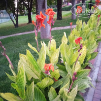 фото из отзыва ID 2711437