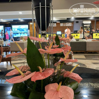 фото из отзыва ID 2711458