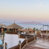 фото из отзыва ID 2711474